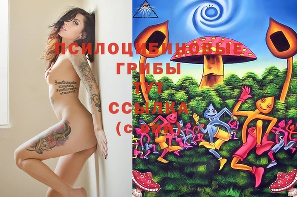 спиды Алзамай