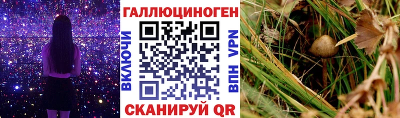 что такое наркотик  Балаково  Галлюциногенные грибы GOLDEN TEACHER 