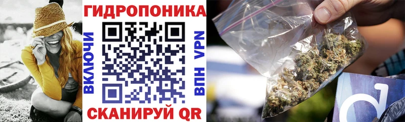 Шишки марихуана марихуана  KRAKEN как зайти  Балаково 